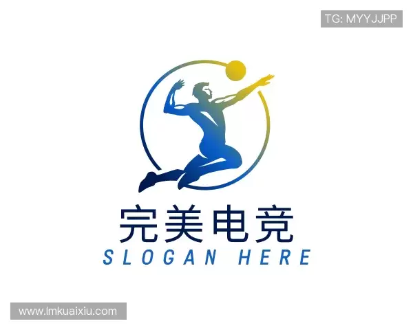 了解完美电竞